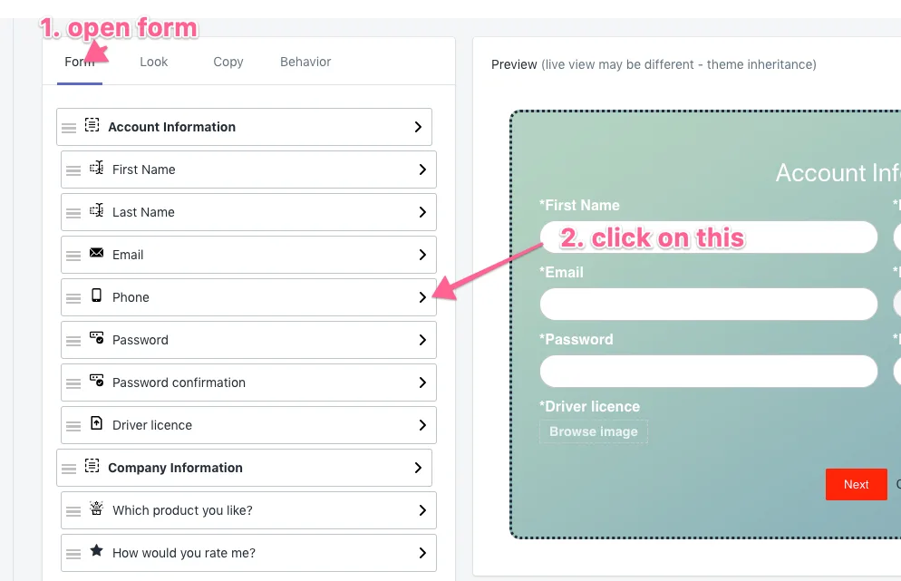 Form tab listing fields next to the live preview, with a field highlighted